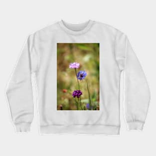 Bachelor Button Flowers Crewneck Sweatshirt